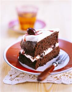 A piece of chocolate cherry cake