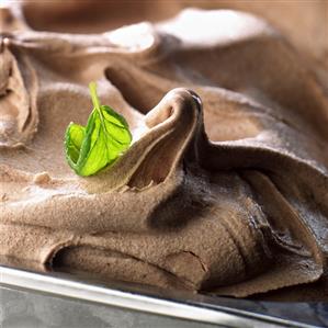 Chocolate ice cream with a basil leaf