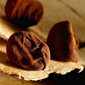 Chocolates rolled in cocoa powder