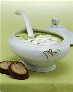 Ramsons (wild garlic) soup in soup tureen, two slices of bread