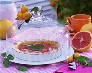 Grapefruit tart in tart dish under glass dome out of doors