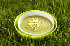 Bowl of courgette soup in grass