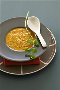 Green gazpacho in a soup plate with coriander