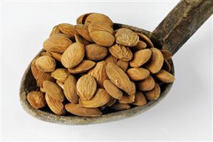 Peach seeds on a wooden spoon