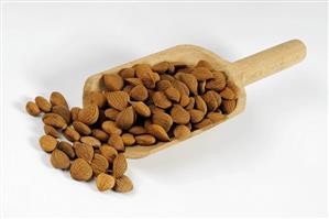 Bitter apricot kernels in a wooden scoop