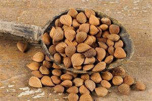 Bitter apricot kernels on and beside a wooden spoon