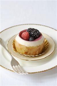 Soaked sponge cake with yoghurt cream and fresh berries