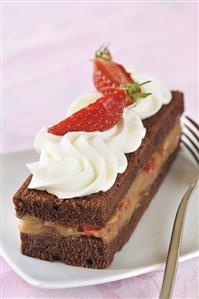 Chocolate sponge slice with raspberry and rhubarb filling