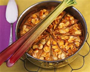 Rhubarb pie with almond crust in a springform pan