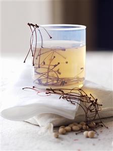 Cherry stalk tea in a glass