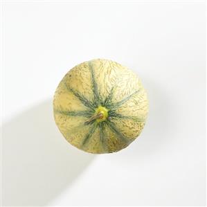 A whole cantaloupe melon