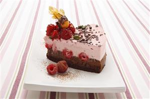 A piece of chocolate and raspberry semifreddo