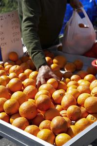 Stallholder packing oranges into a bag at a fruit stall