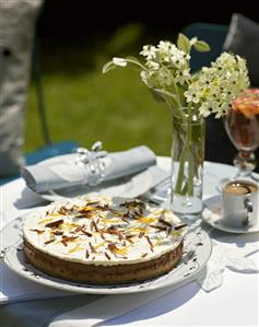 Chocolate orange cheesecake on a garden table