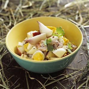 Egg, ham, apple and onion salad