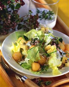 Iceberg lettuce with melon, Gouda and herbs