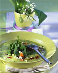 Vegetable cream soup with ramsons (wild garlic) & pumpkin seed oil