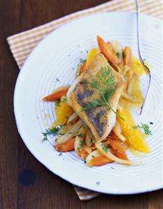 Zander on fennel and carrots with orange segments