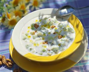 Tarator (Cold yoghurt & cucumber soup with walnuts, Bulgaria)