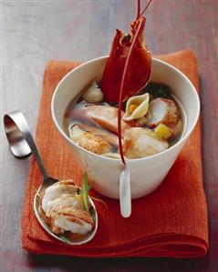 Lobster minestrone with shellfish