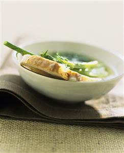 Wild fennel soup