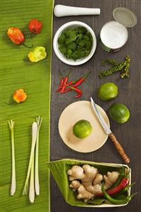 Still life with Asian spices, herbs and coconut milk