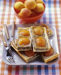 Poppy seed and apricot slices