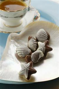 Belgian chocolate sea shells with praline filling, cup of tea