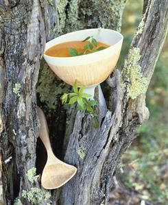 Cold tomato soup with pastis (anise-flavoured liqueur)