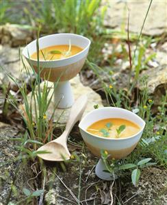 Cold tomato soup with pastis (anise-flavoured liqueur)