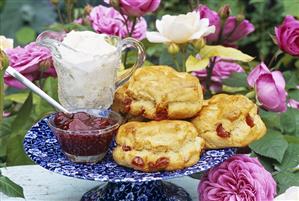 Scones with cherries and whipped cream in garden