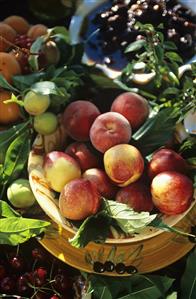 Fruit still life out of doors