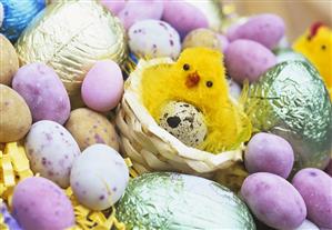 Chocolate eggs and a chick in Easter nest