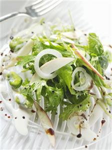 Herb salad with onion rings and apple slices