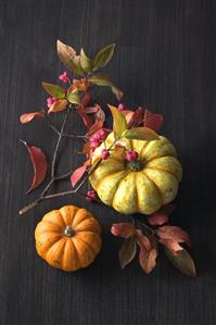 Two ornamental gourds with spindle twig