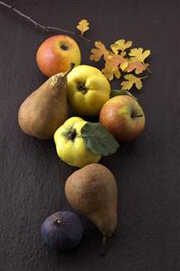 Apples, pears, quinces and fig