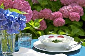 Vegetable cream soup and hydrangeas on table out of doors