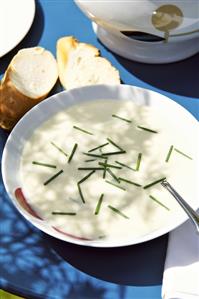 Vichyssoise (Cold potato and leek soup)