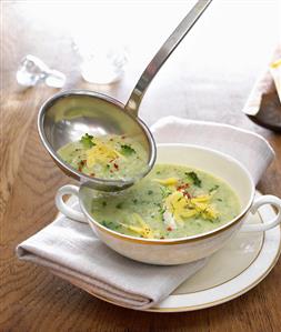 Broccoli soup in bowl and ladle