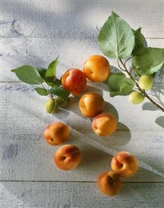 Fresh apricots with leaves on wooden background