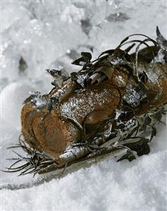 Bûche de Noël (Chocolate sponge roll for Christmas, France)