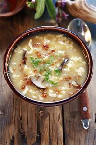 Forest mushroom soup