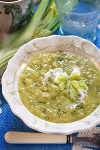 Cream of celery soup