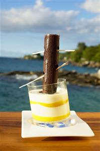 Mango & coconut dessert with chocolate tree trunk (Seychelles)