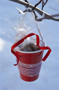 Red plastic cup containing pecan sweets hanging on branch