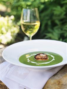 Chilled cream of pea soup with fried scallop