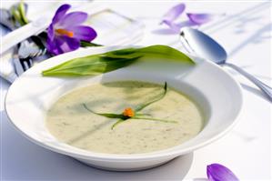 Ramsons (wild garlic) soup