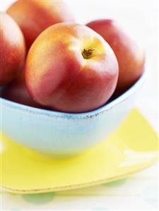 Nectarines in a bowl