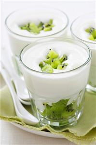 Kiwi fruit mousse with pieces of kiwi fruit