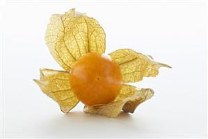 Physalis with husk